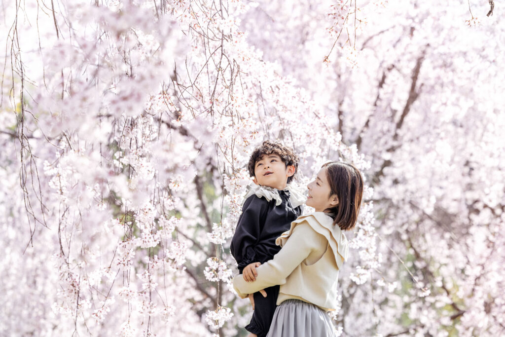 桜ロケ・入園入学・卒園卒業